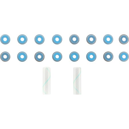 Reinz Engine Valve Stem Oil Seal Set, 12-10114-01 12-10114-01